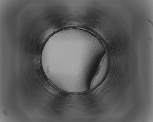 X0000091701355200709210913