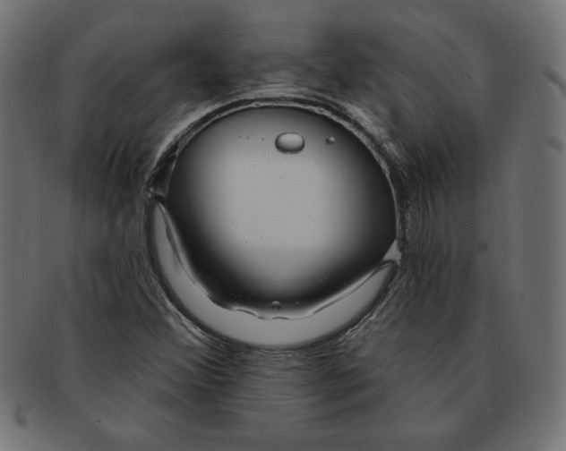 X0000091701356200709210913