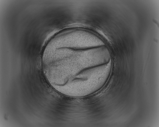 X0000091701358200709210913