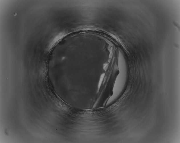 X0000091701359200709210913