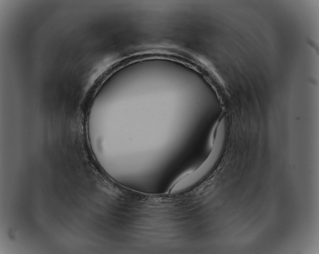 X0000091701360200709210913