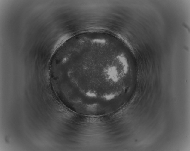 X0000091701362200709210913