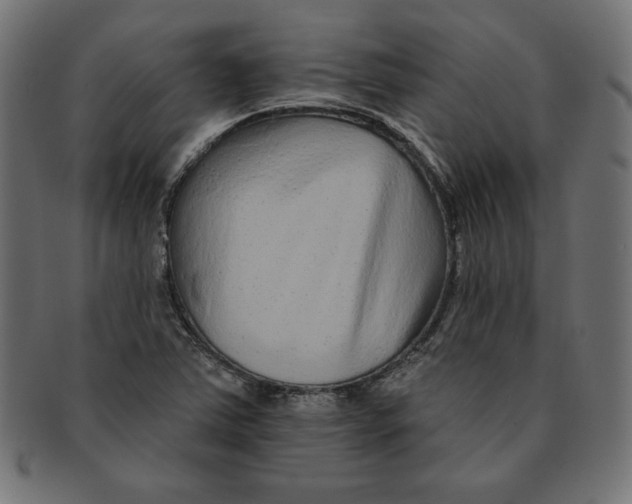 X0000091701363200709210913