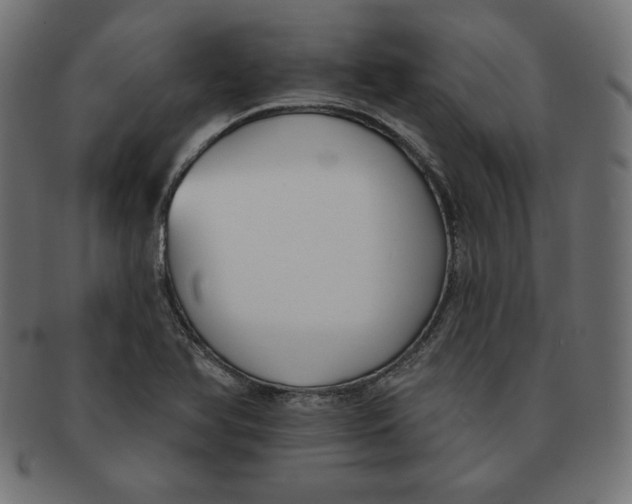 X0000091701366200709210913