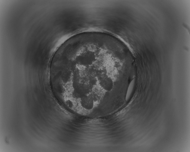 X0000091701367200709210913