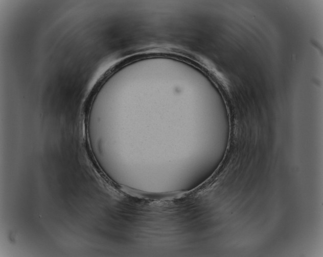 X0000091701368200709210913