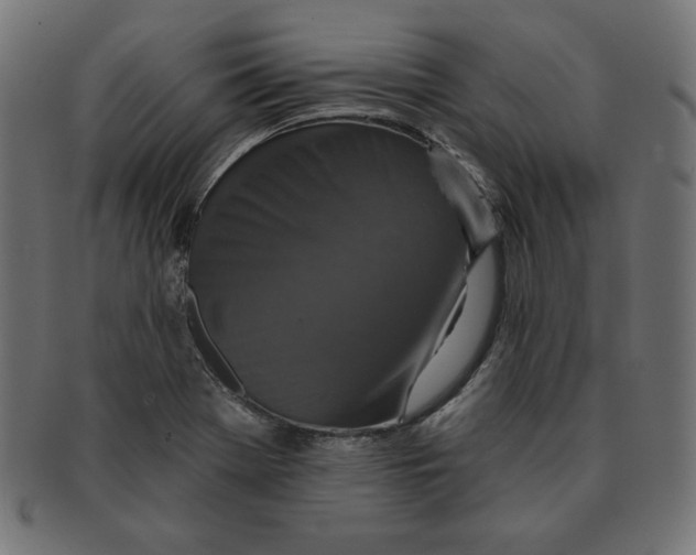 X0000091701369200709210913