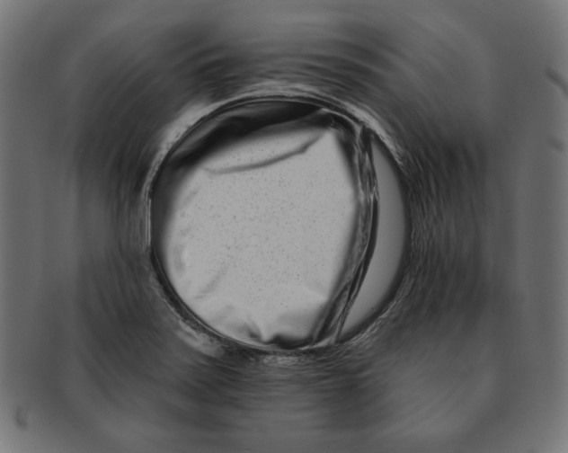 X0000091701371200709210913