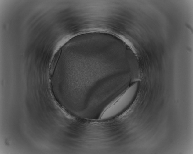 X0000091701373200709210913