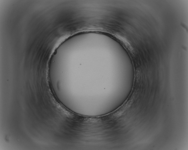 X0000091701374200709210913