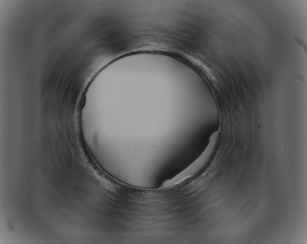 X0000091701375200709210913