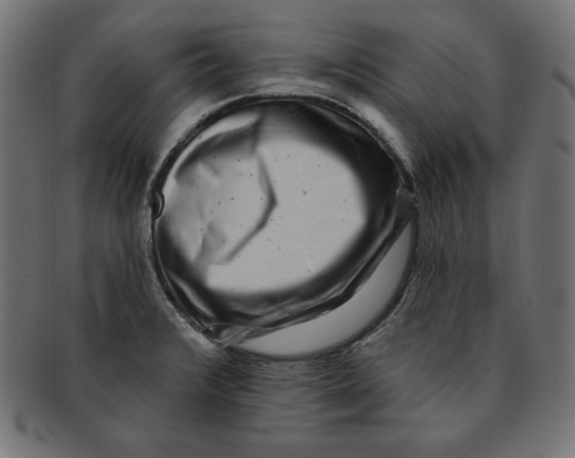 X0000091701376200709210913