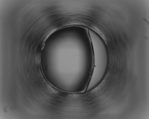 X0000091701377200709210913