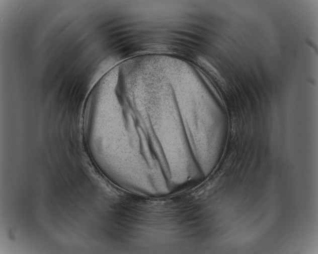 X0000091701378200709210913