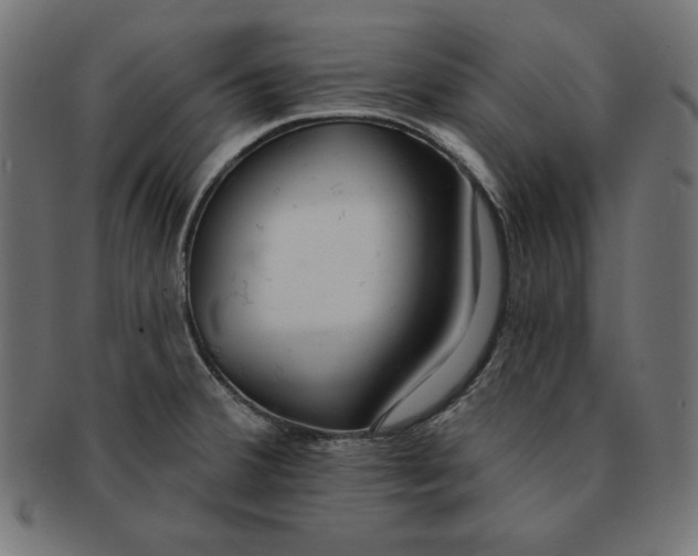 X0000091701380200709210913