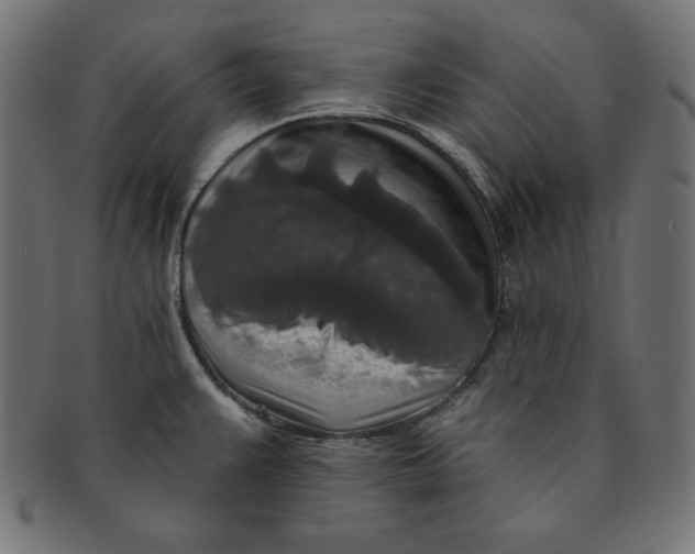 X0000091701383200709210913