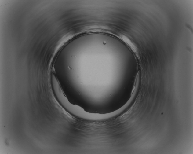 X0000091701384200709210913