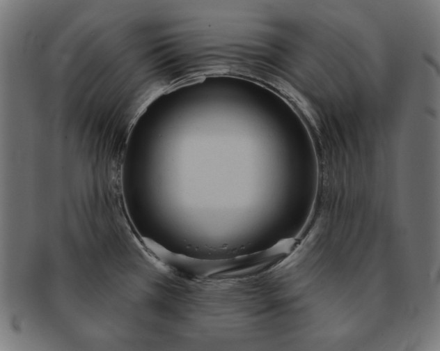 X0000091701385200709210913