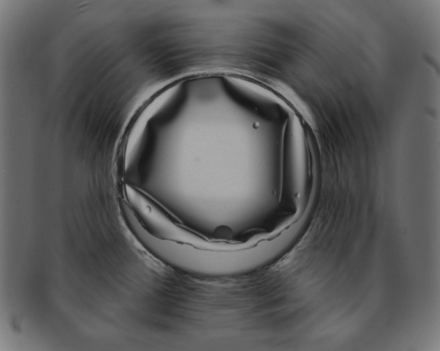 X0000091701388200709210913