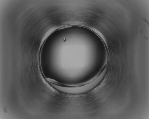 X0000091701389200709210913