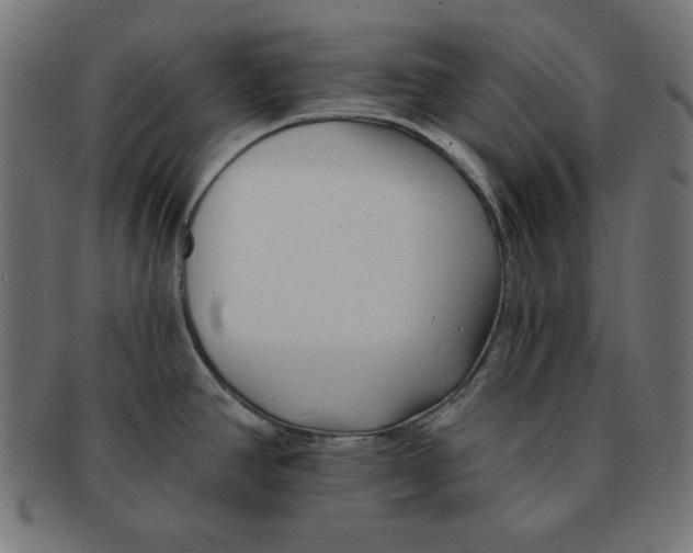 X0000091701390200709210913