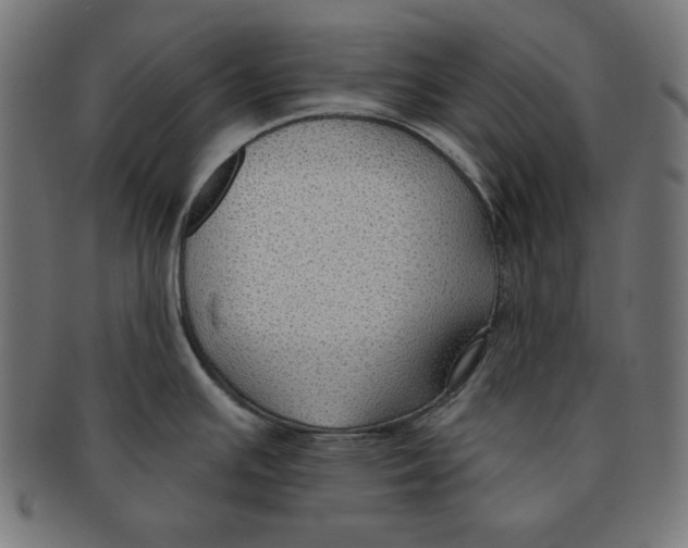 X0000091701391200709210913