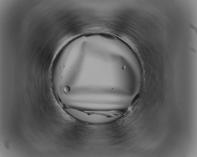 X0000091701392200709210913