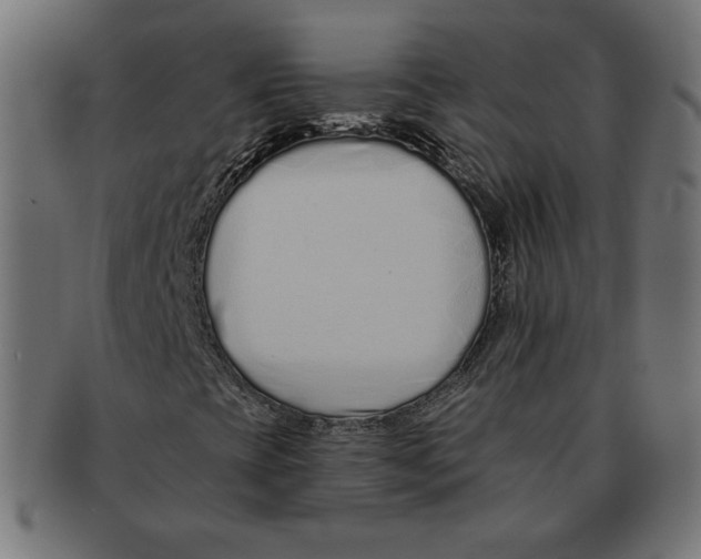 X0000091701393200709210912