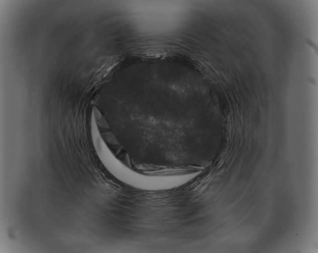 X0000091701394200709210912