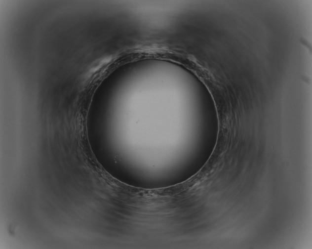 X0000091701398200709210912