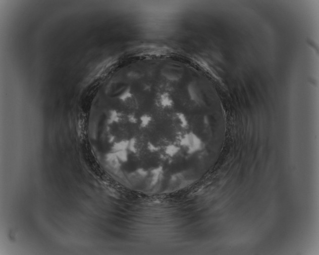 X0000091701399200709210912