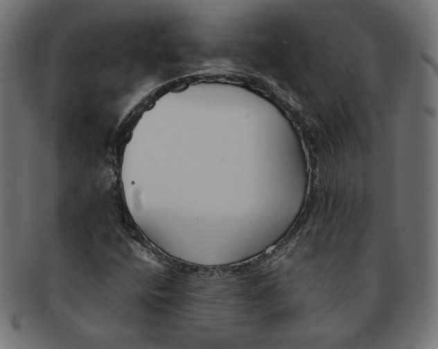 X0000091701400200709210912