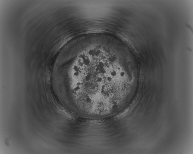 X0000091701401200709210913