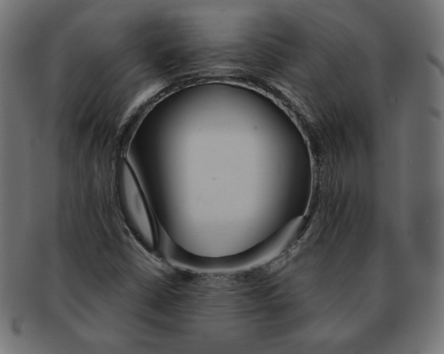 X0000091701402200709210913