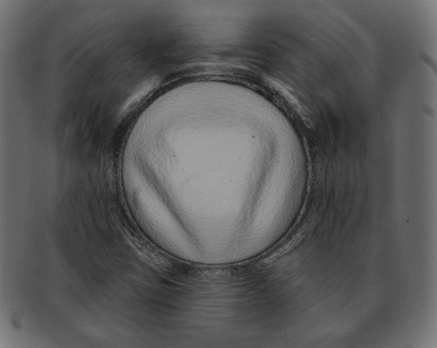 X0000091701403200709210913