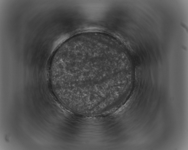 X0000091701405200709210913