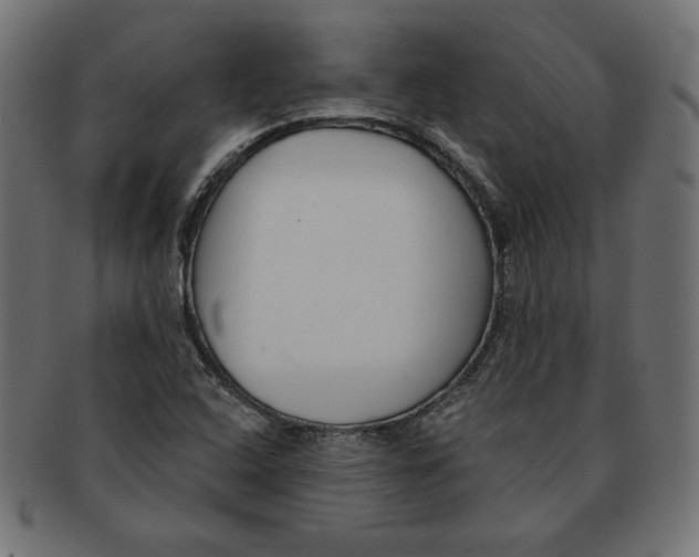 X0000091701408200709210913