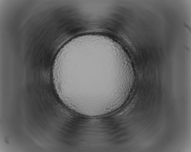 X0000091701409200709210913