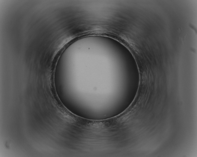 X0000091701410200709210913