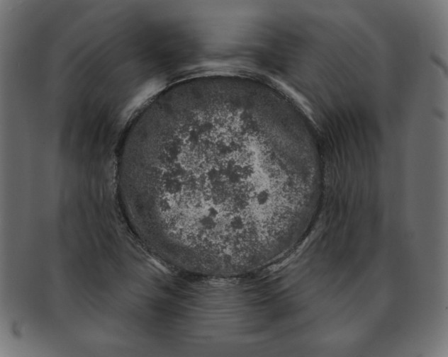 X0000091701411200709210913