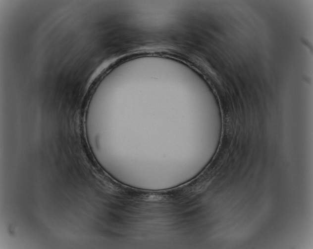 X0000091701412200709210913