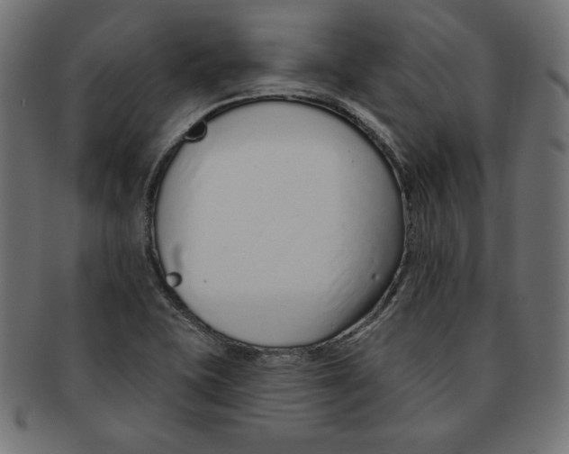 X0000091701415200709210913