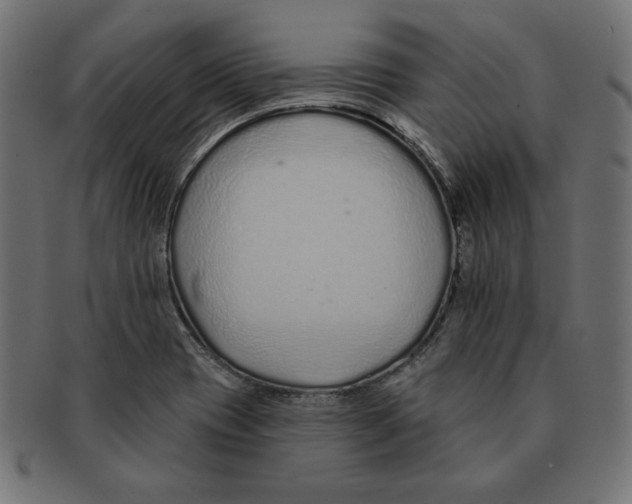 X0000091701417200709210913