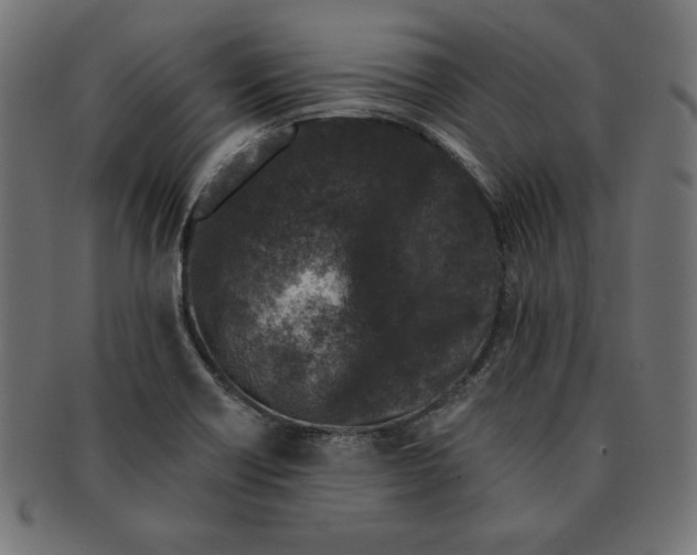 X0000091701418200709210913