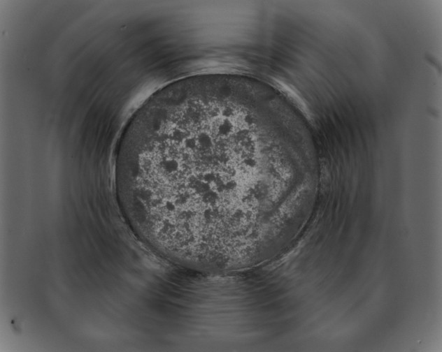 X0000091701419200709210913