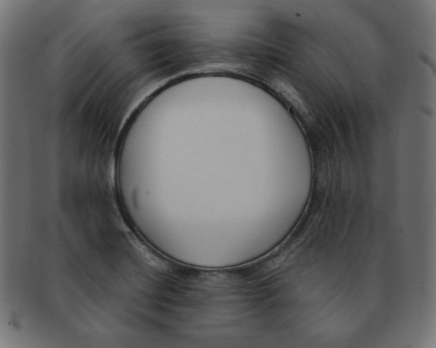 X0000091701420200709210913