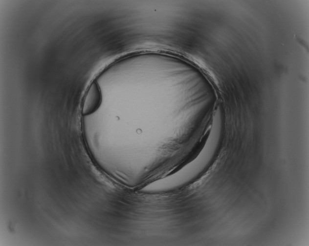 X0000091701421200709210913