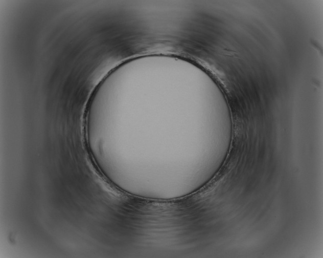 X0000091701423200709210913