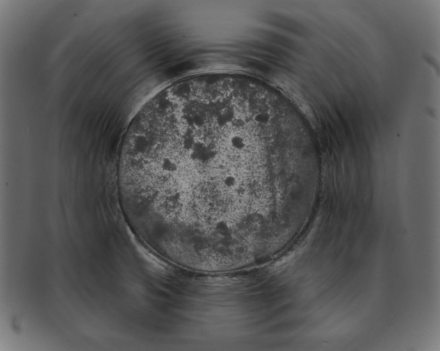 X0000091701425200709210913