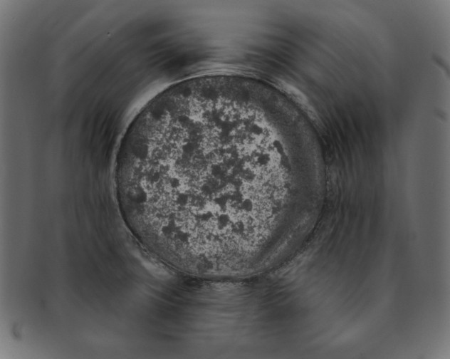 X0000091701427200709210913